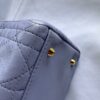 CHRISTIAN DIOR LADY DIOR MEDIUM