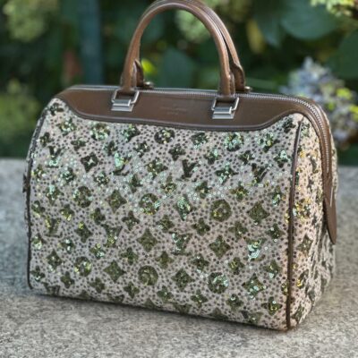 Louis Vuitton Speedy 30 Sunshine Express Limited Edition (2012/2013)