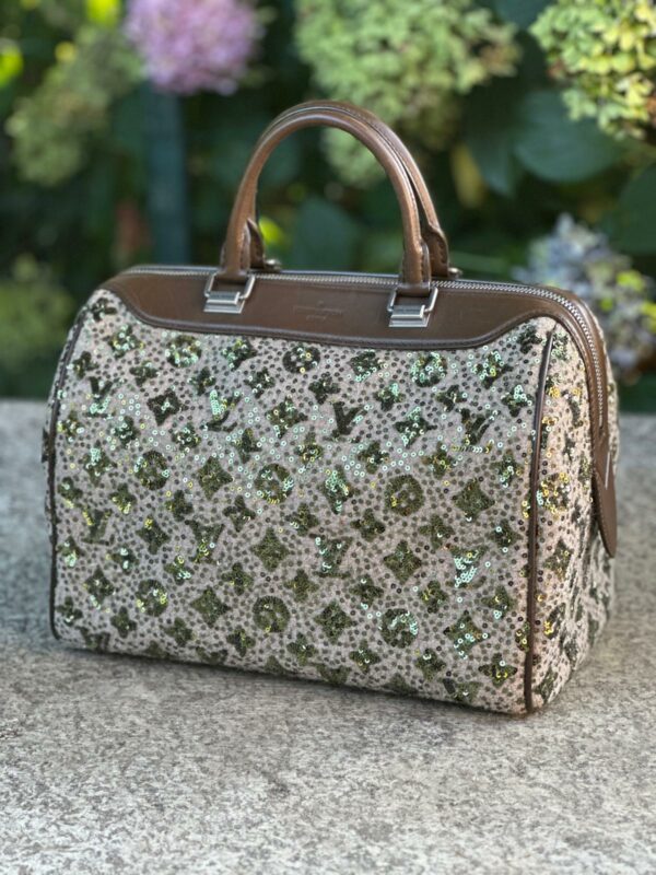 Louis Vuitton Speedy 30 Sunshine Express Limited Edition (2012/2013)