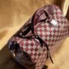 Louis Vuitton Sequin Damier Speedy 30 (2013)