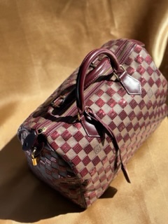 Louis Vuitton Sequin Damier Speedy 30 (2013)
