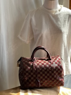 Louis Vuitton Sequin Damier Speedy 30 (2013)