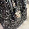 Louis Vuitton Black Sunshine Speedy 30 (2012 Limited Edition)