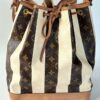 Louis Vuitton Noé Monogram Rayures