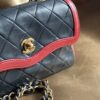 Chanel Bicolor Mini Diana Bag (1989/1991)