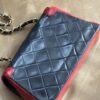 Chanel Bicolor Mini Diana Bag (1989/1991)