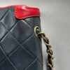 Chanel Bicolor Mini Diana Bag (1989/1991)