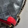 Chanel Bicolor Mini Diana Bag (1989/1991)