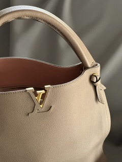 Louis Vuitton Tournon Taurillon Leather Bag