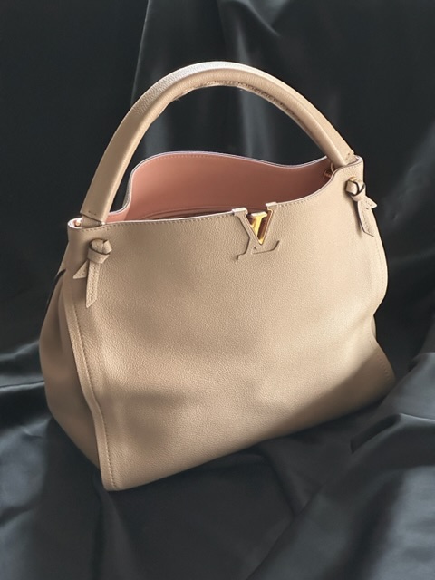 Louis Vuitton Tournon Taurillon Leather Bag
