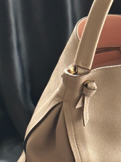 Louis Vuitton Tournon Taurillon Leather Bag