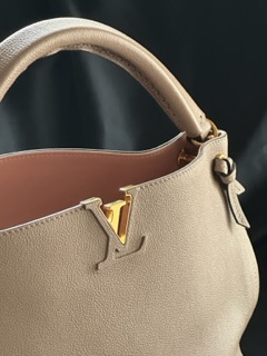 Louis Vuitton Tournon Taurillon Leather Bag