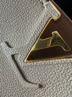 Louis Vuitton Tournon Taurillon Leather Bag