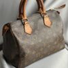 Louis Vuitton Speedy 25 (2000)