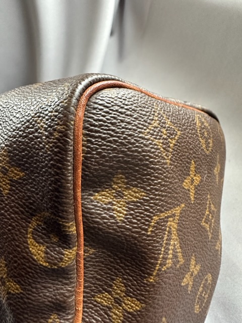 Louis Vuitton Speedy 25 (2000)