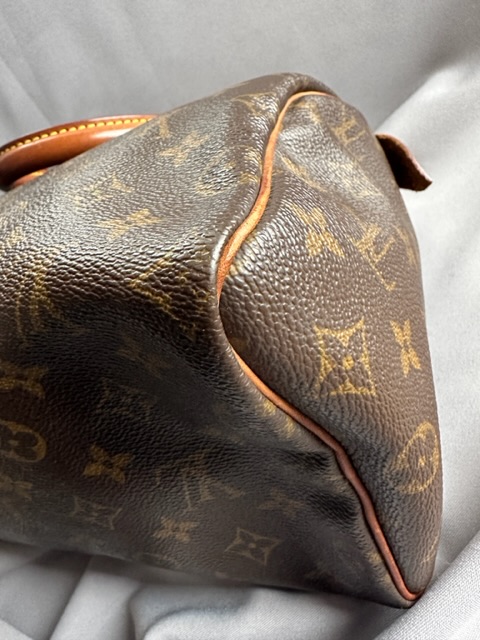 Louis Vuitton Speedy 25 (2000)