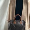 Louis Vuitton Speedy 25 (2000)