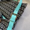 Fendi Monogram Zucchino Baguette (2002)