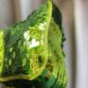 Fendi Sex&TheCity Wasabi Sequin Baguette (2022)