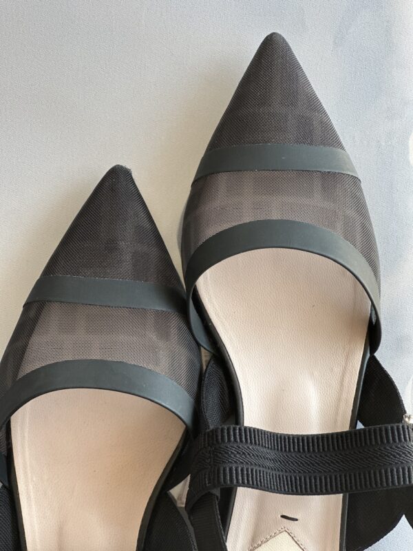 Fendi Colibrì Flat Slingback