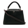Louis Vuitton Taurillon Capucines PM (2021)