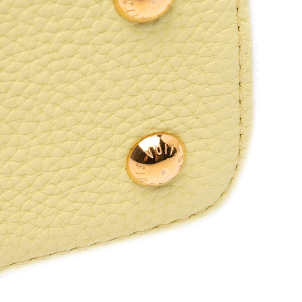 Louis Vuitton Beaded Mini Capucines Bag