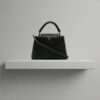 Louis Vuitton Taurillon Capucines PM (2021)