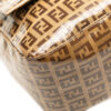 Fendi Glass Monogram Zucchino Mamma Baguette (2001)