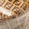 Fendi Glass Monogram Zucchino Mamma Baguette (2001)