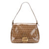 Fendi Glass Monogram Zucchino Mamma Baguette (2001)