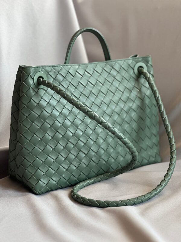 Bottega Veneta Andiamo Medium Bag