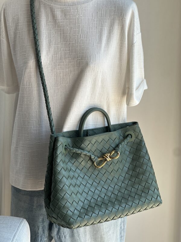 Bottega Veneta Andiamo Medium Bag