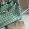 Bottega Veneta Andiamo Medium Bag