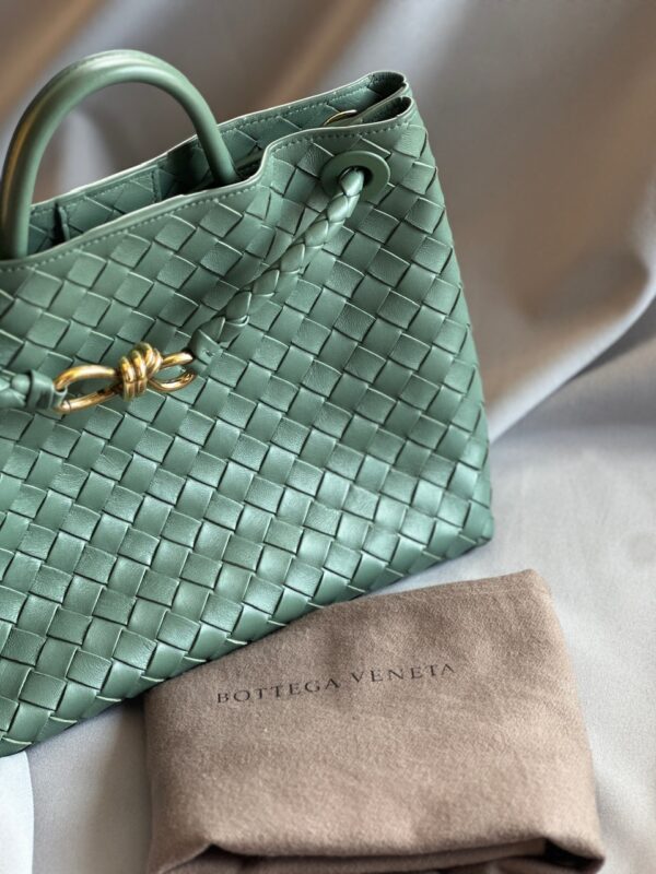 Bottega Veneta Andiamo Medium Bag