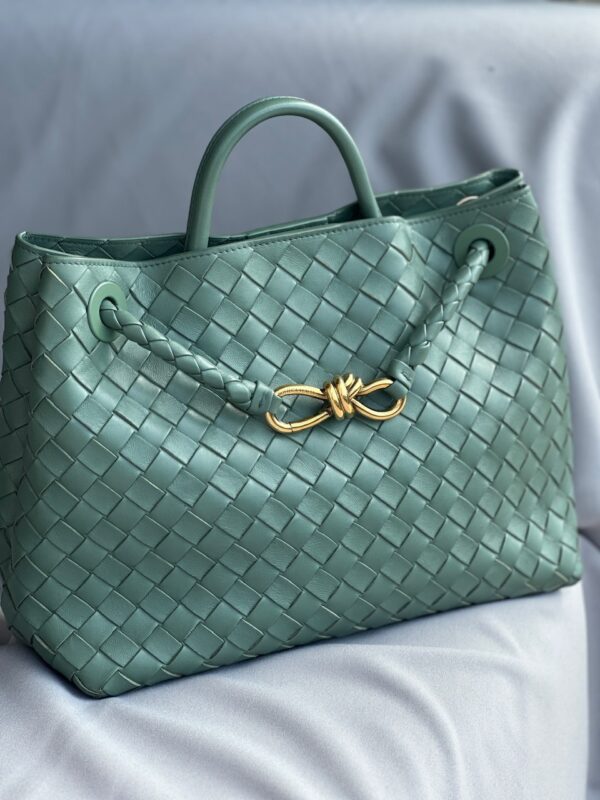 Bottega Veneta Andiamo Medium Bag
