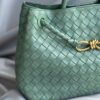 Bottega Veneta Andiamo Medium Bag