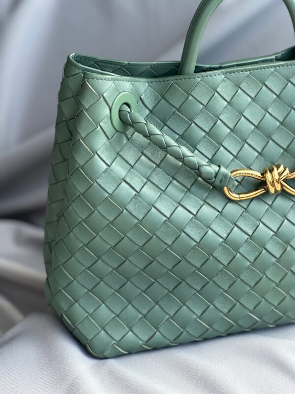 Bottega Veneta Andiamo Medium Bag