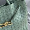Bottega Veneta Andiamo Medium Bag