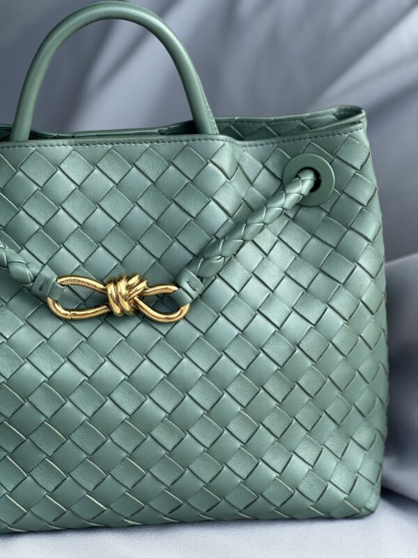 Bottega Veneta Andiamo Medium Bag