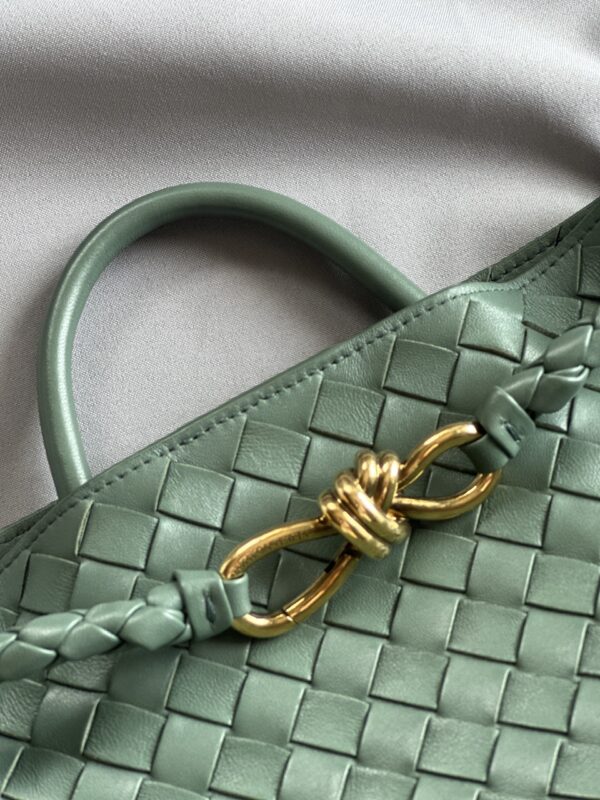 Bottega Veneta Andiamo Medium Bag