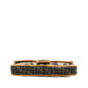 Fendi Zucca Embroidered Canvas Baguette (2019)