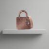 Christian Dior Small Lady Dior Ombre