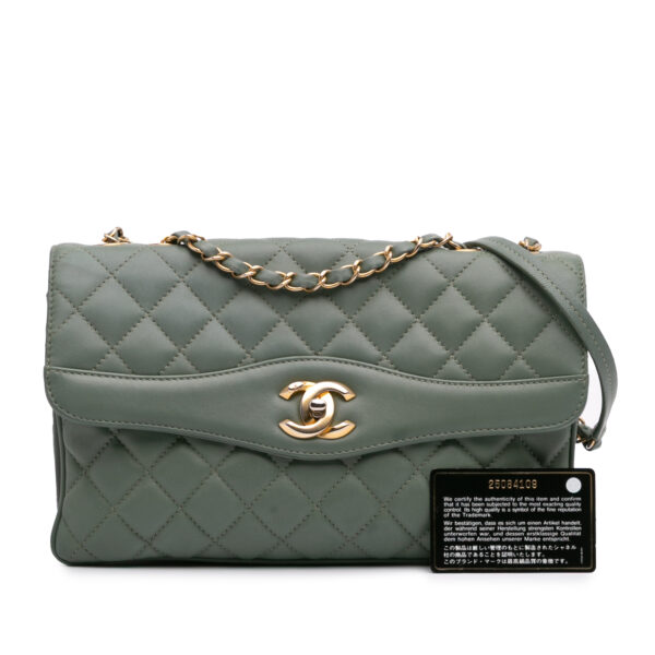 Chanel Large Quilted Daily Companion Flap (2018)