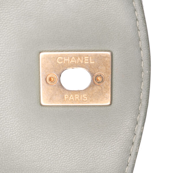 Chanel Large Quilted Daily Companion Flap (2018)