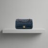 Chanel Timeless Medium Classic Double Flap Bag (2008/2009)
