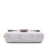 Fendi Canvas Baguette (2022)