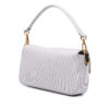 Fendi Canvas Baguette (2022)