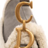 Christian Dior Shearling Saddle Bag (2020)