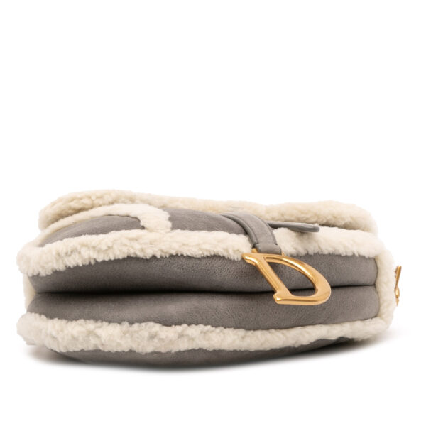 Christian Dior Shearling Saddle Bag (2020)