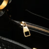 Louis Vuitton Tweed Capucines MM (2015)